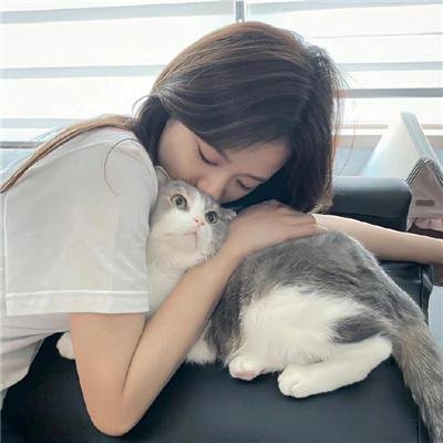 不疯不狂不爱你
